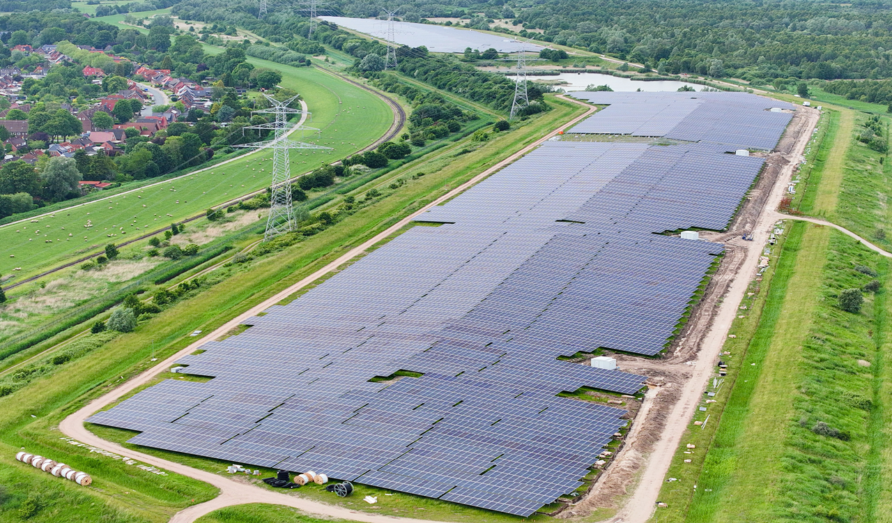 Draufsicht auf Solarmodule auf einer Wiesenfläche, im Hintergrund sind Schafe zu sehen.